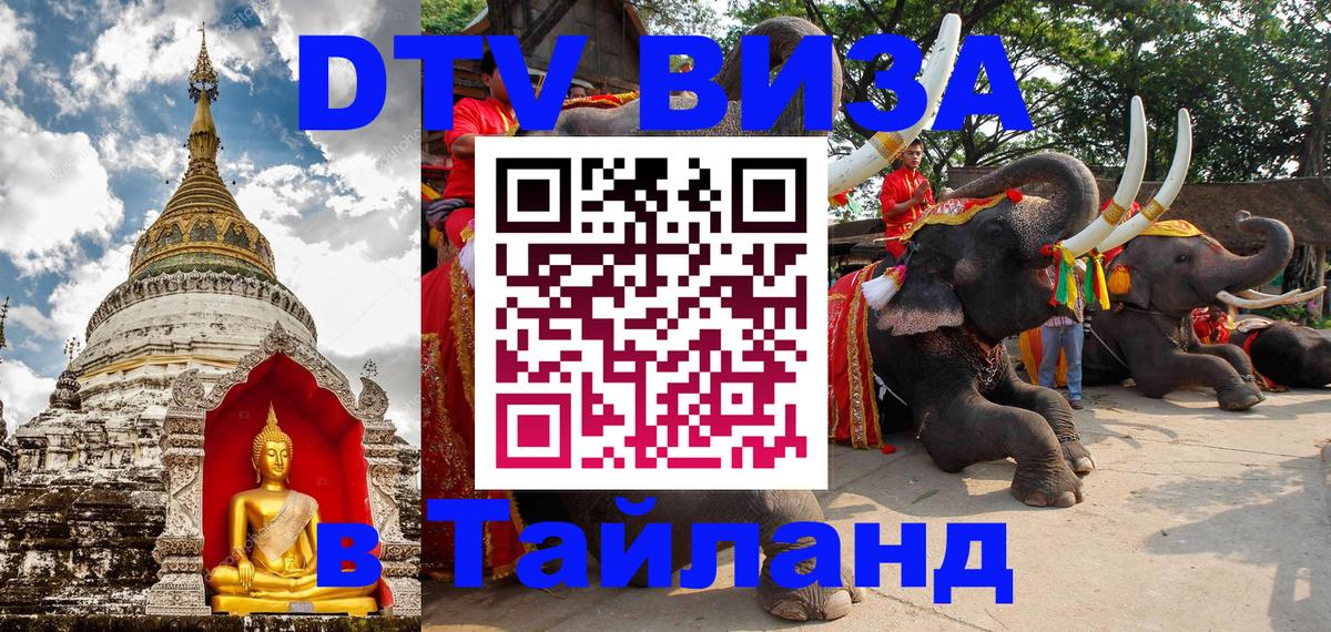 Оформление DTV визы под ключ: стоимость и тарифы, только загранпаспорт - онлайн  08.01.2026 